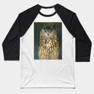 European Eagle Owl Baseball T-Shirt